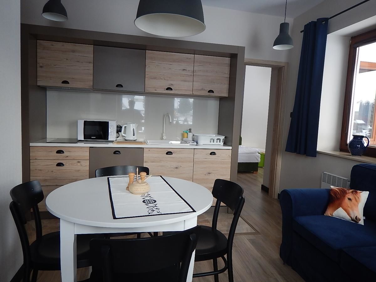 Апартаменты ApartamentyPodZakopanem.PL Мужасихле-28